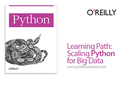 دانلود O'Reilly Learning Path: Scaling Python for Big Data - آموزش توسعه پایتون برای داده های حجیم