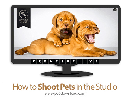 دانلود CreativeLive How to Shoot Pets in the Studio - آموزش عکاسی از حیوانات خانگی در استودیو