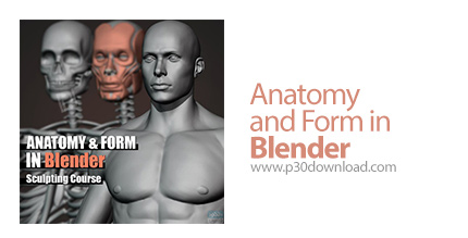 دانلود Gumroad - Anatomy and Form in Blender - آموزش طراحی آناتومی و فرم بدن در بلندر