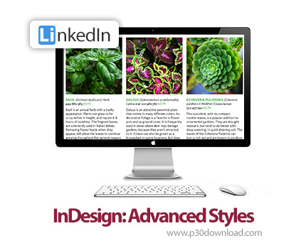 دانلود InDesign: Advanced Styles - آموزش ایندیزاین