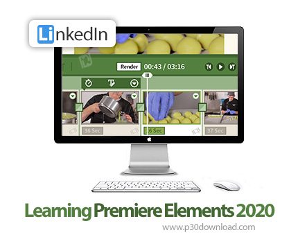 دانلود Learning Premiere Elements 2020 - آموزش نرم افزار پریمایر المنت 2020