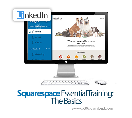 دانلود Squarespace Essential Training: The Basics - آموزش اسکوئراسپیس