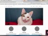 Udemy Create Custom WordPress Themes From Scratch Screenshot 2