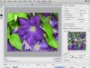 CreativeLive How to Create an Animated GIF in Photoshop Screenshot 2