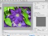 CreativeLive How to Create an Animated GIF in Photoshop Screenshot 3