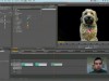 Udemy Adobe Premiere Pro CS6: The Complete Video Editing Course Screenshot 1