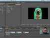 Udemy Adobe Premiere Pro CS6: The Complete Video Editing Course Screenshot 4