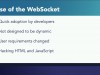 Lynda WebSocket Programming with Java EE Screenshot 3