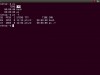 Lynda Learning Linux Shell Scripting Screenshot 1
