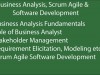 Udemy Business Analysis & Scrum Agile for Business Analysts Screenshot 1