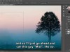 Lynda Photoshop CC 2019 Tutorial Series Screenshot 3