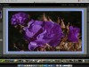 Udemy Adobe Lightroom Masterclass Series Screenshot 3