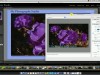 Udemy Adobe Lightroom Masterclass Series Screenshot 4