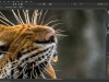 Udemy Affinity Photo: Modern Special Effects Screenshot 1