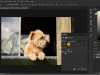 Udemy Learn Photoshop from Zero to Hero|All in One Edition Screenshot 1
