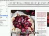 Udemy Become an InDesign Pro in 10 Skills Screenshot 2