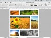 Creativelive Adobe InDesign CC for Beginners Screenshot 4
