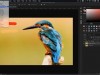 Udemy Adobe Photoshop For Beginners Free Course Screenshot 2