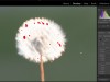Udemy Lightroom CC Masterclass | Beginner guide for Photographers Screenshot 2