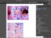 Udemy Adobe InDesign CC 2021: Complete Training for Professionals Screenshot 4