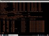 Udemy Reverse Engineering, Debugging and Malware Analysis Screenshot 2