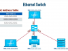 Cisco Certified Support Technician (CCST) Networking Cert Prep: 1 Network Fundamentals Screenshot 1