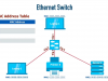 Cisco Certified Support Technician (CCST) Networking Cert Prep: 1 Network Fundamentals Screenshot 4