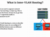 CCNA 200-301 v1.1 with Labs, Quizzes, Practice Exams Screenshot 4