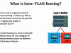 CCNA 200-301 v1.1 with Labs, Quizzes, Practice Exams Screenshot 5