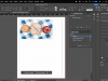 InDesign Masterclass: From Basics to Advanced Design Skills Screenshot 1