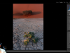 Adobe Lightroom Classic Course: From Beginner To Pro Screenshot 1