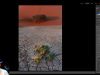 Adobe Lightroom Classic Course: From Beginner To Pro Screenshot 3