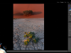 Adobe Lightroom Classic Course: From Beginner To Pro Screenshot 5