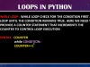 Python in 10 Days: The Ultimate Beginner's Bootcamp Screenshot 2