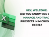 Excel for Project Management: Skills Every Manager Needs Screenshot 1