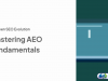 AEO Fundamentals Screenshot 1
