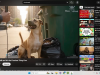 Google Veo 3 Masterclass: AI Video Creation With Google Flow Screenshot 5