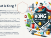Kong 3: API Gateway from Zero to Hero Screenshot 3