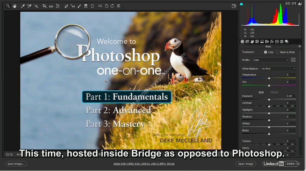download linkedin photoshop cc 2015 one-on-one: fundamentals