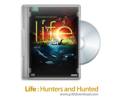 دانلود Life 2009 S01E07: Hunters and Hunted - مستند حیات، قسمت هفتم: شکار و شکارچیان