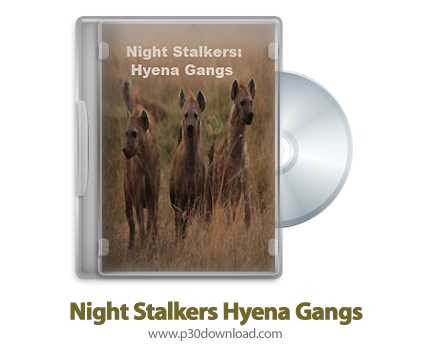 دانلود Hyena Gangs 2011 - مستند زندگی کفتارها