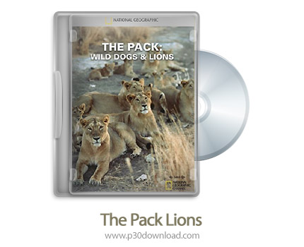 دانلود The Pack Lions 2012 - مستند دسته شیرها