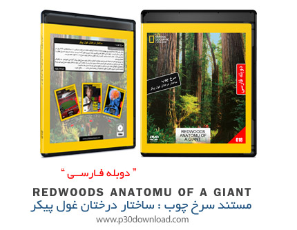دانلود Redwoods Anatomu Of a Giant - مستند دوبله فارسی سرخ چوب، ساختار درختان غول پیکر