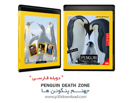 دانلود Penguin Death Zone - مستند دوبله فارسی علمی، جهنم پنگوئن ها