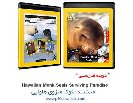 دانلود Hawaiian Monk Seals Surviving Paradise - مستند دوبله فارسی فوک منزوی هاوایی
