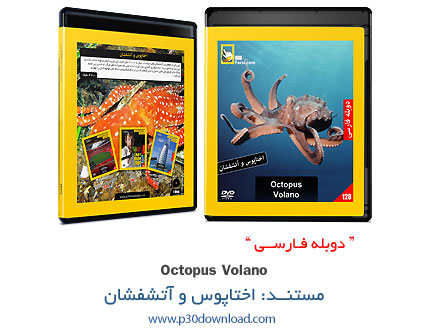 دانلود Octopus Volcano - مستند دوبله فارسی اختاپوس و آتشفشان