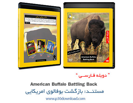 دانلود American Buffalo Battling Back - مستند دوبله فارسی بازگشت بوفالوی امریکایی