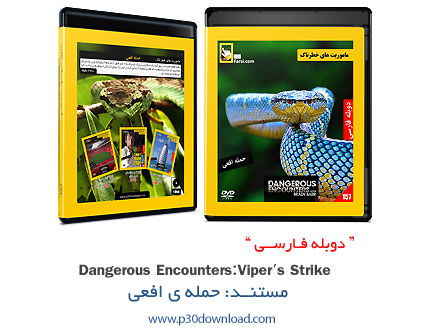 دانلود Dangerous Encounters: Vipers Strike - مستند دوبله فارسی حمله‌ی افعی