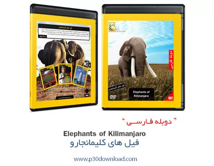 دانلود Elephants of Kilimanjaro - مستند دوبله فارسی فیل های کلیمانجارو