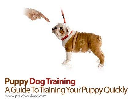 دانلود Udemy Puppy Dog Training - A Guide To Training Your Puppy Quickly - آموزش تربیت سگ های خانگی